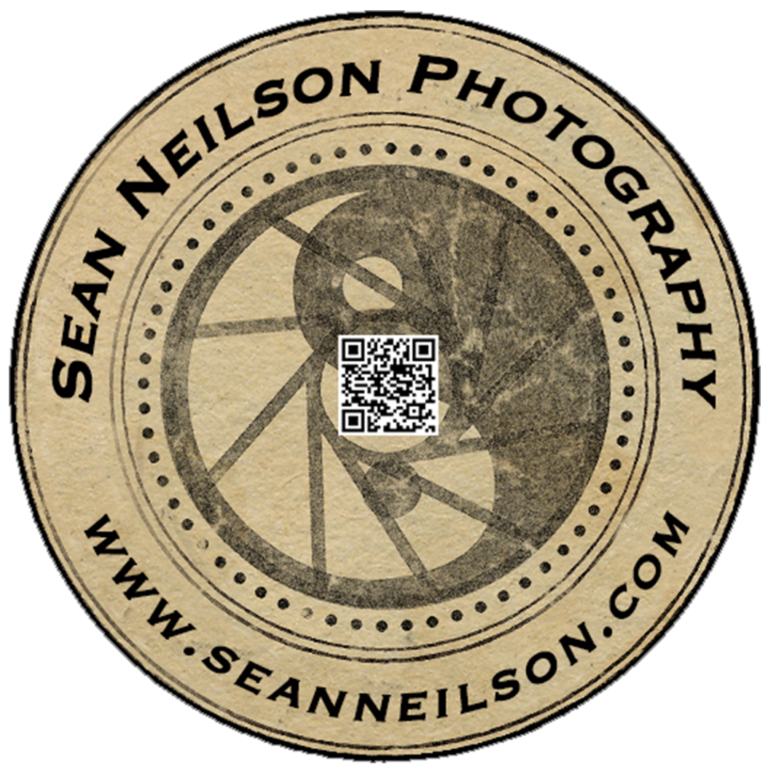 Sean Neilson Media