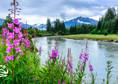 Guiding the Way: True North Federal Credit Union’s Commitment to Juneau