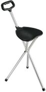 Cane Seat