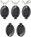Keychain Light