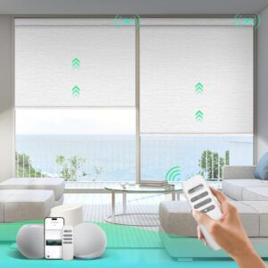 Motorized Blinds